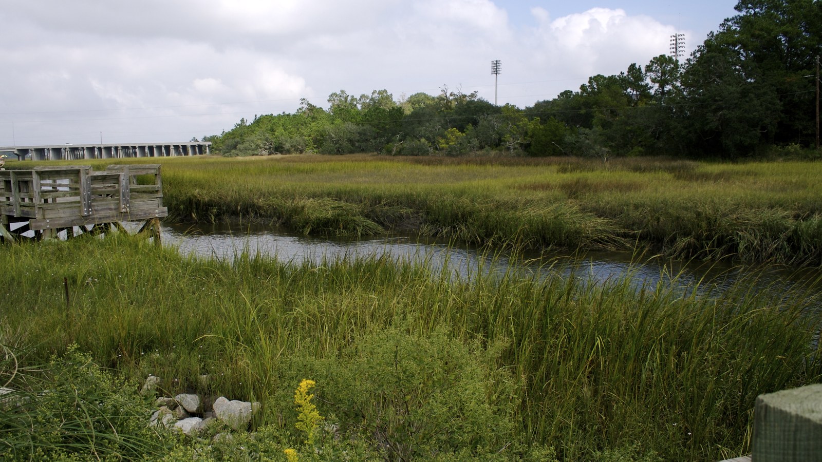 Marsh grass and tidal creek on Daniel Island, with a bridge visible in the distance
