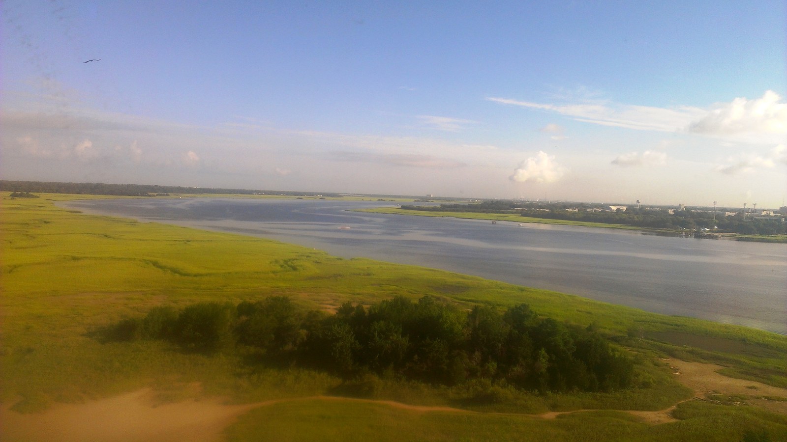 Aerial view of marshland and the Ashley River bordering West Ashley