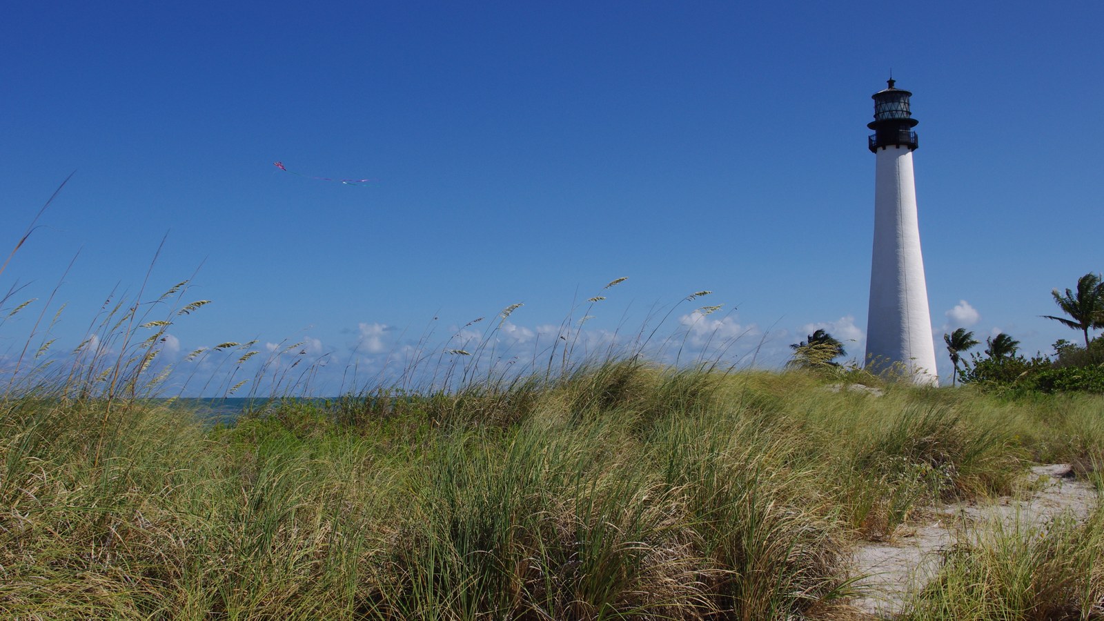 The white Cape Florida Lighthouse rising above sea grass and dunes at Bill Baggs Cape Florida State Park on Key Biscayne