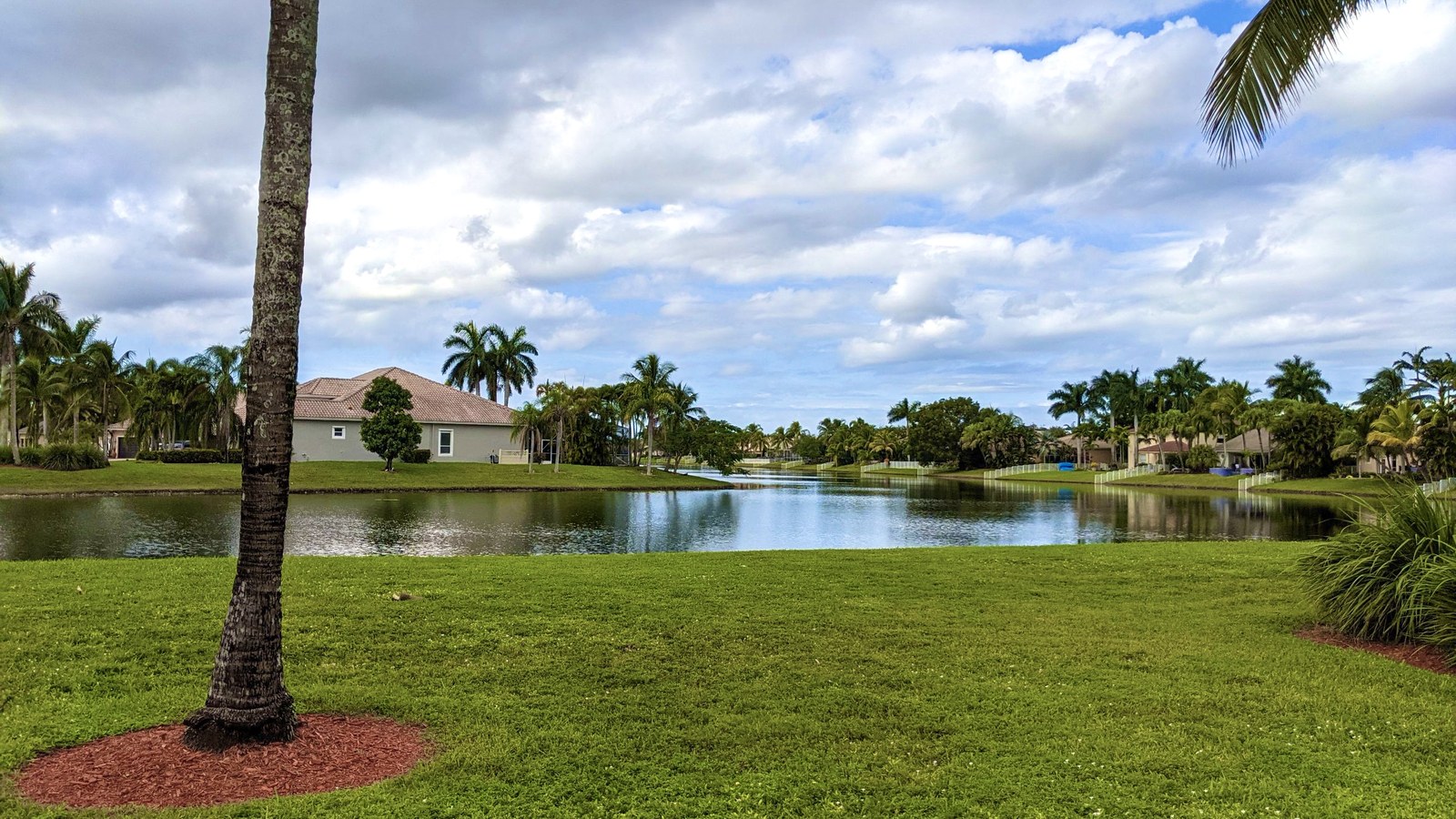 A lakefront street in Pembroke Falls, a residential development in Pembroke Pines, with palm trees and homes around the water