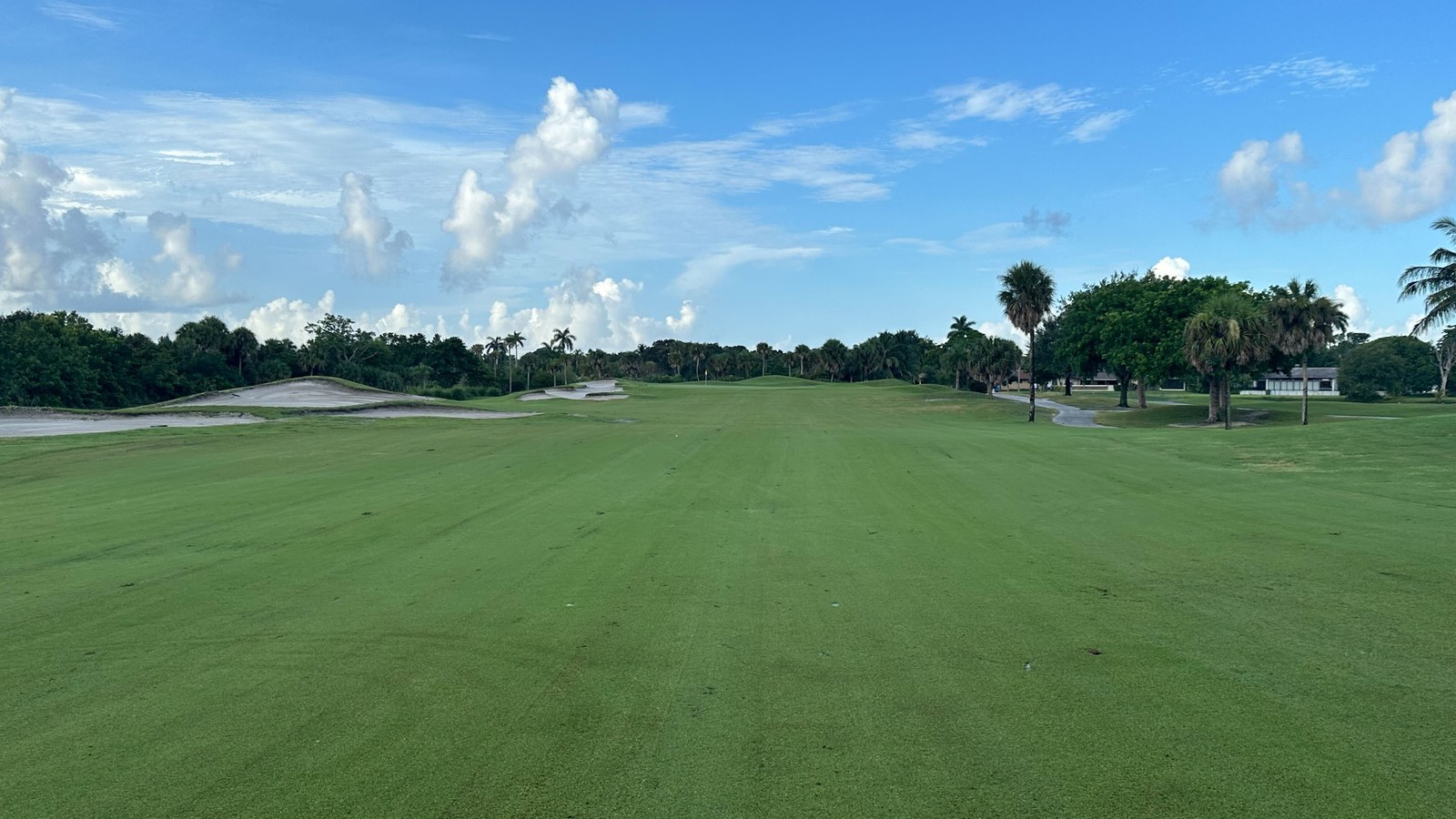 A fairway at Plantation Preserve Golf Course & Club, lined with palm trees under a partly cloudy sky