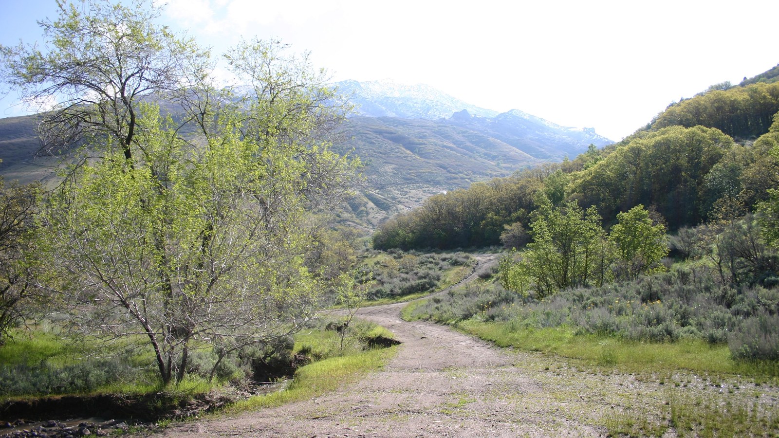 A dirt trail winding through Corner Canyon in Draper, Utah, with sagebrush, cottonwood trees, and the Wasatch foothills rising behind it