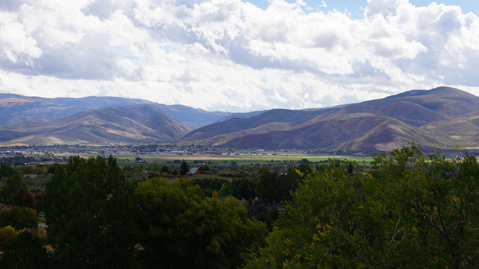 The Heber Valley's farm fields and small-town rooftops framed by tree canopy in the foreground and the Wasatch Back mountains behind