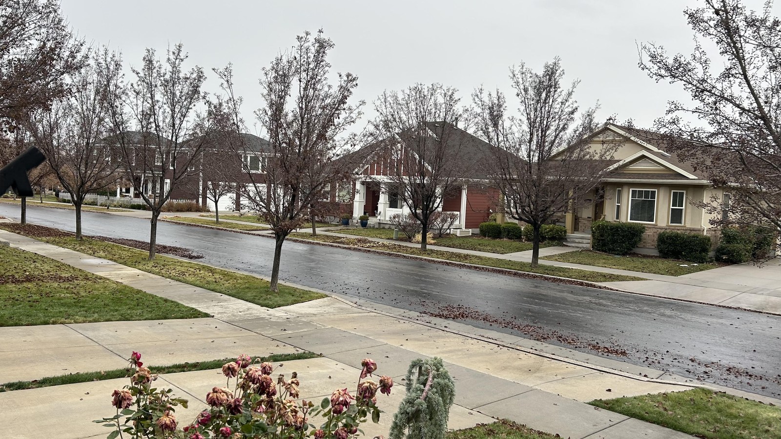 A residential street in the Daybreak community in South Jordan, Utah, with sidewalks on both sides, street trees, and a mix of craftsman-style single-family homes